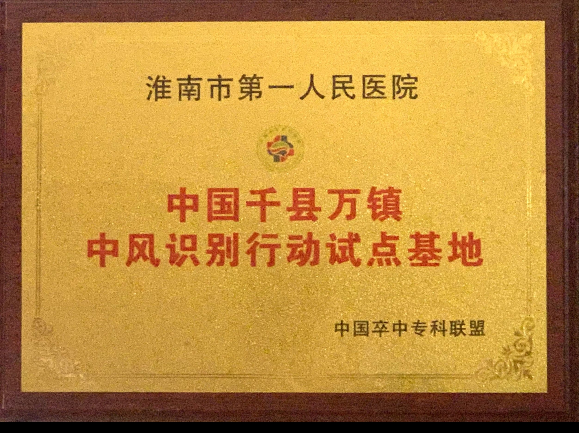 4、中國千縣萬鎮(zhèn)中風(fēng)識別行動示范基地.jpg